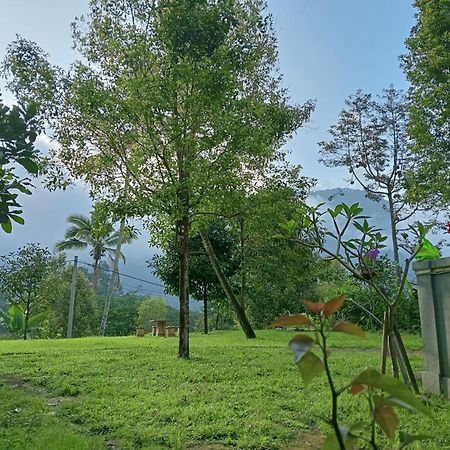 Jepun Homestay Lemukih Singaraja エクステリア 写真