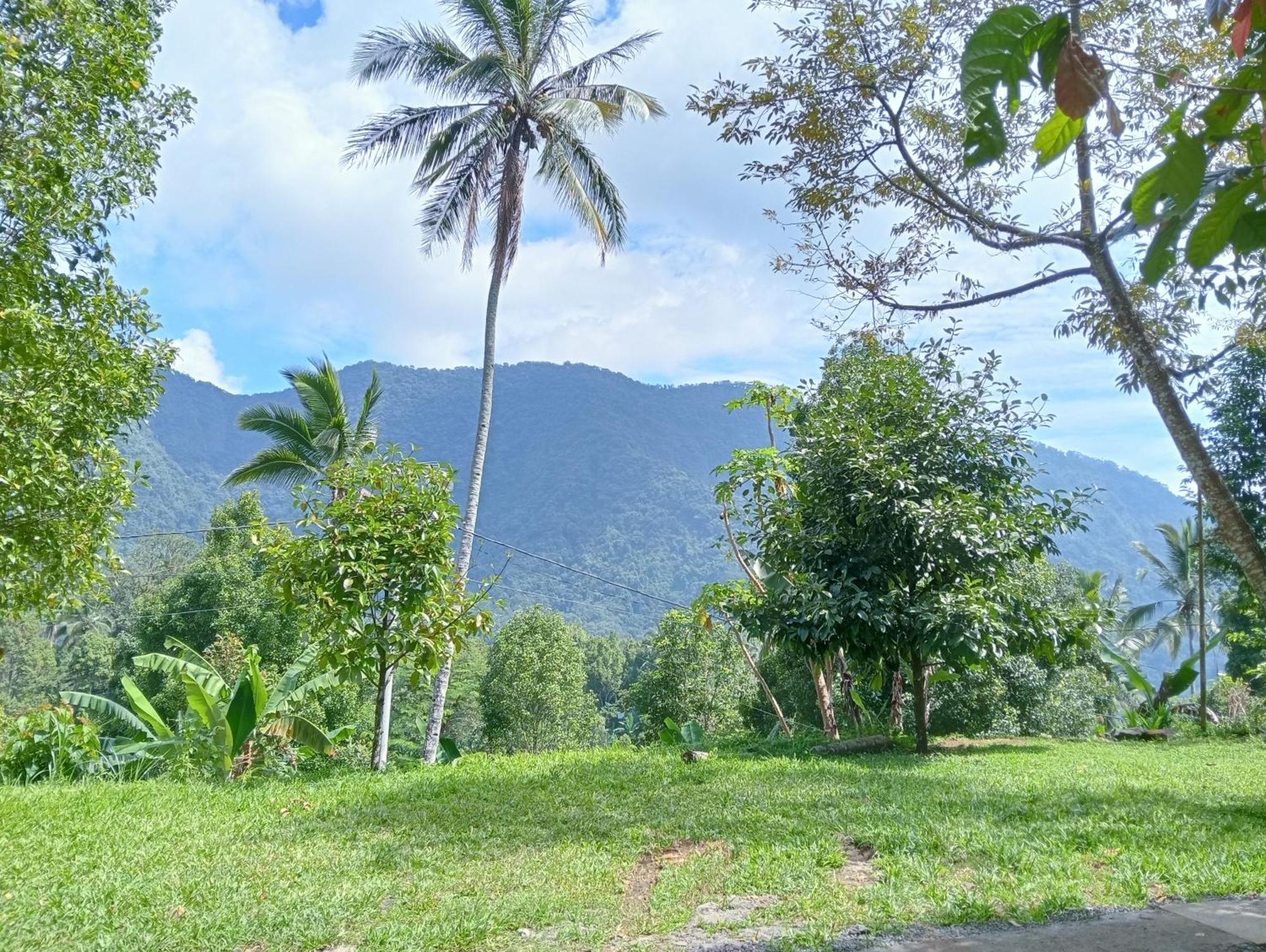 Jepun Homestay Lemukih Singaraja エクステリア 写真