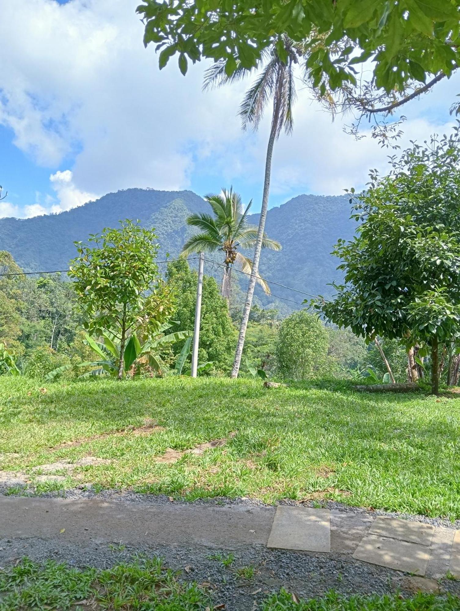 Jepun Homestay Lemukih Singaraja エクステリア 写真