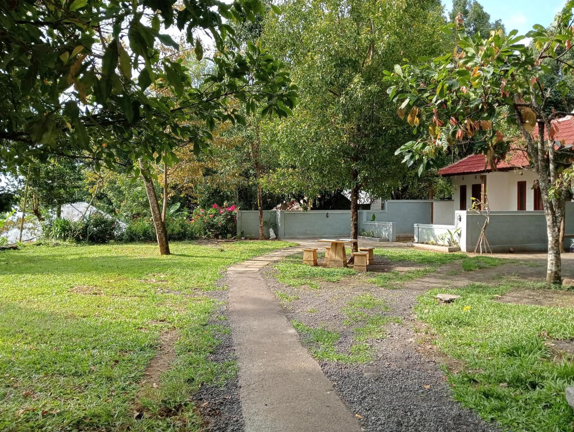 Jepun Homestay Lemukih Singaraja エクステリア 写真