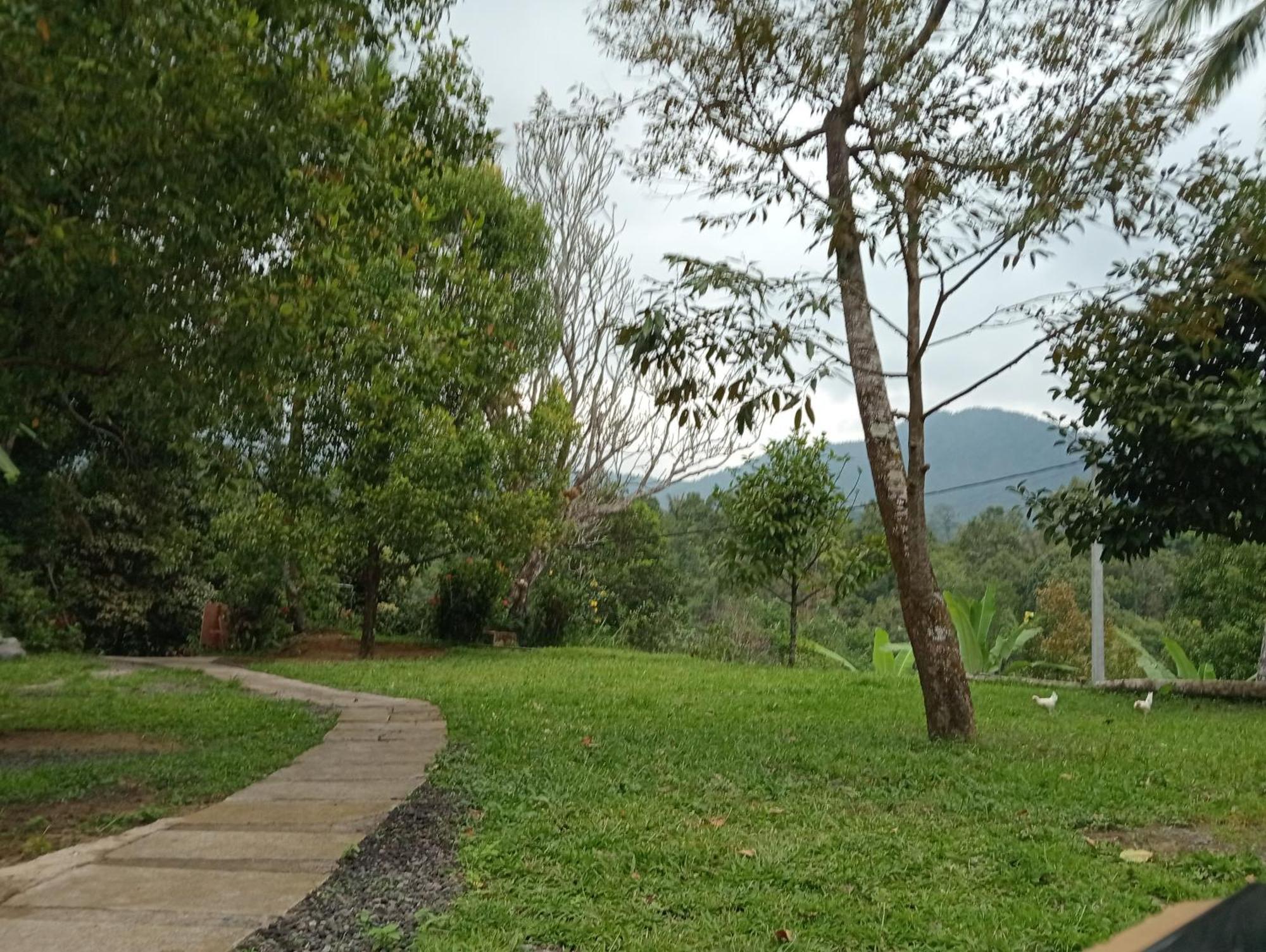 Jepun Homestay Lemukih Singaraja エクステリア 写真