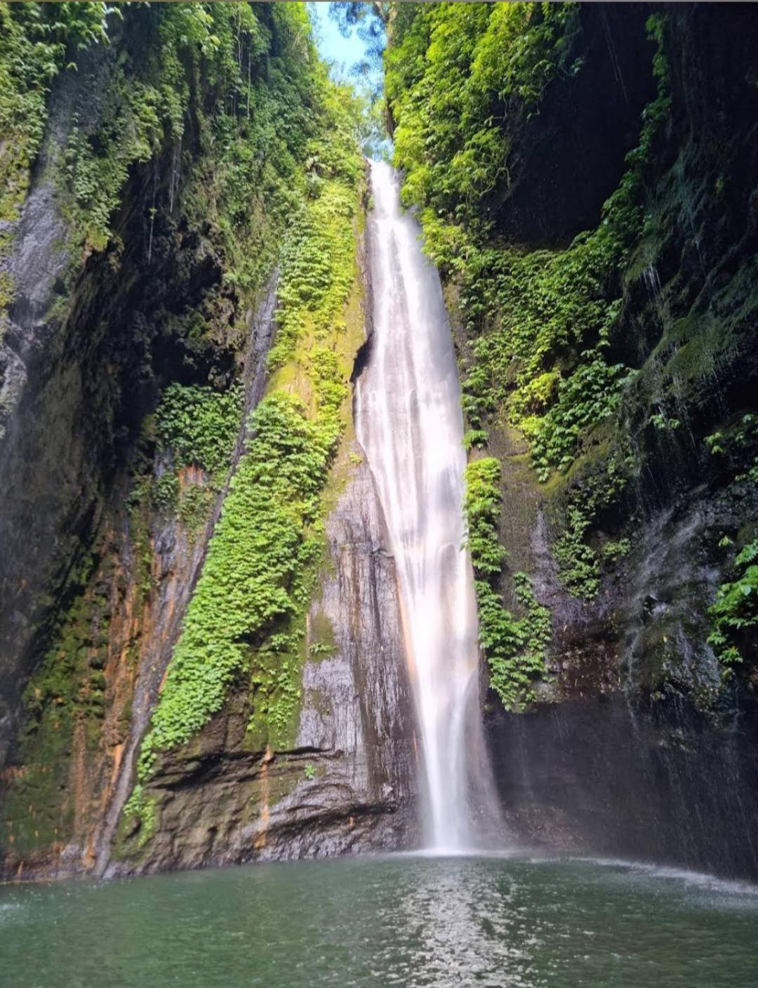 Jepun Homestay Lemukih Singaraja エクステリア 写真