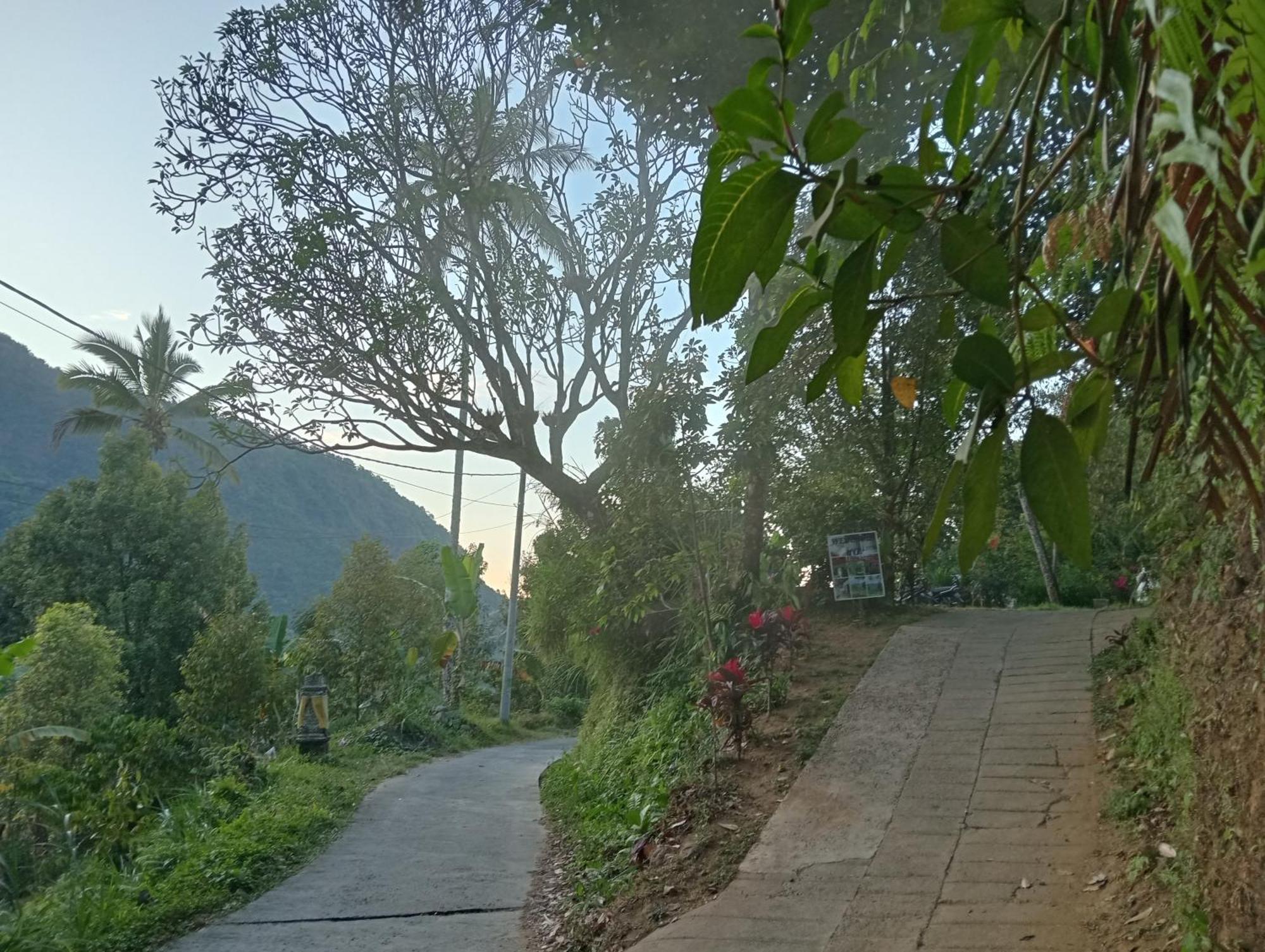 Jepun Homestay Lemukih Singaraja エクステリア 写真