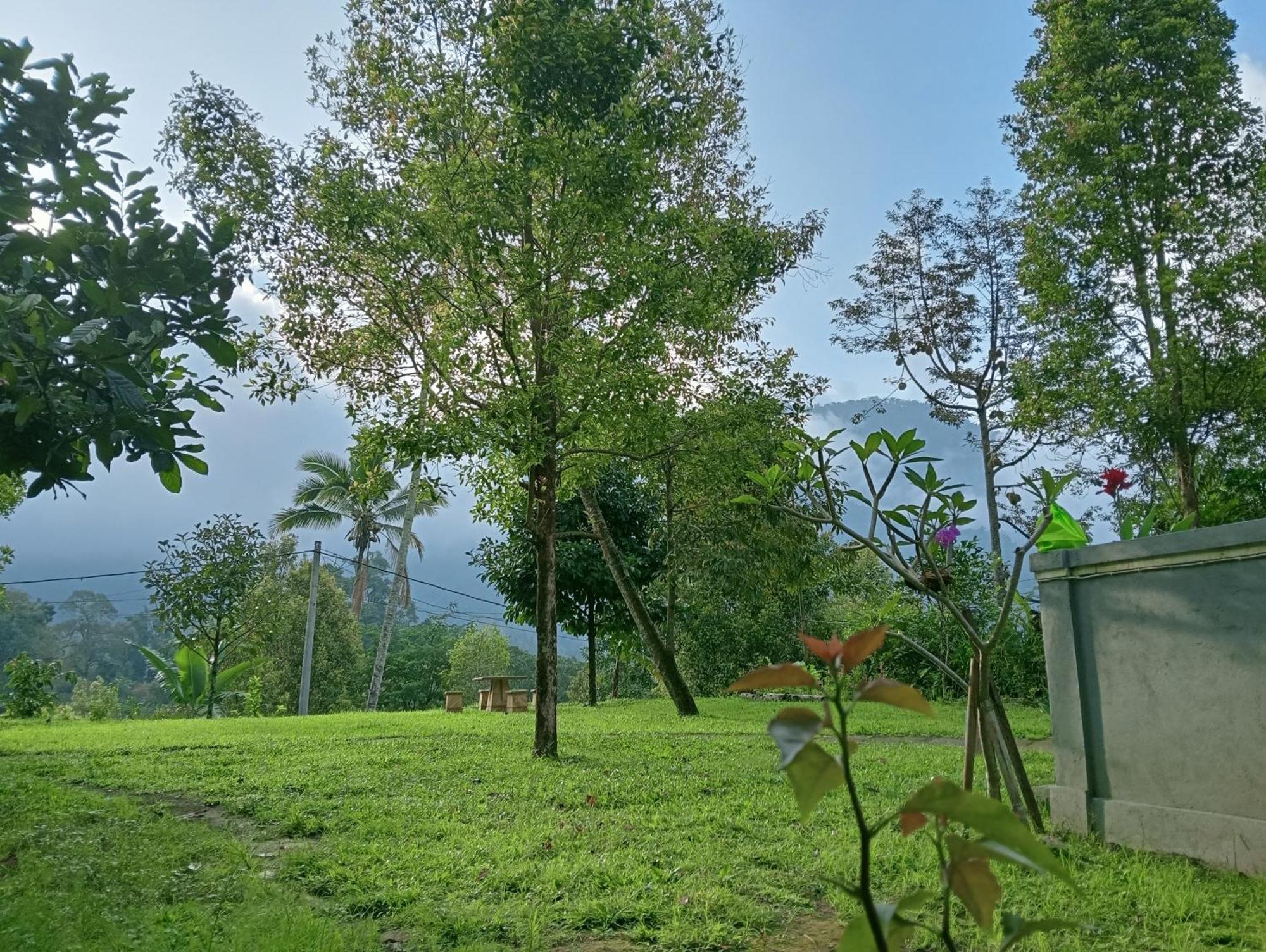Jepun Homestay Lemukih Singaraja エクステリア 写真