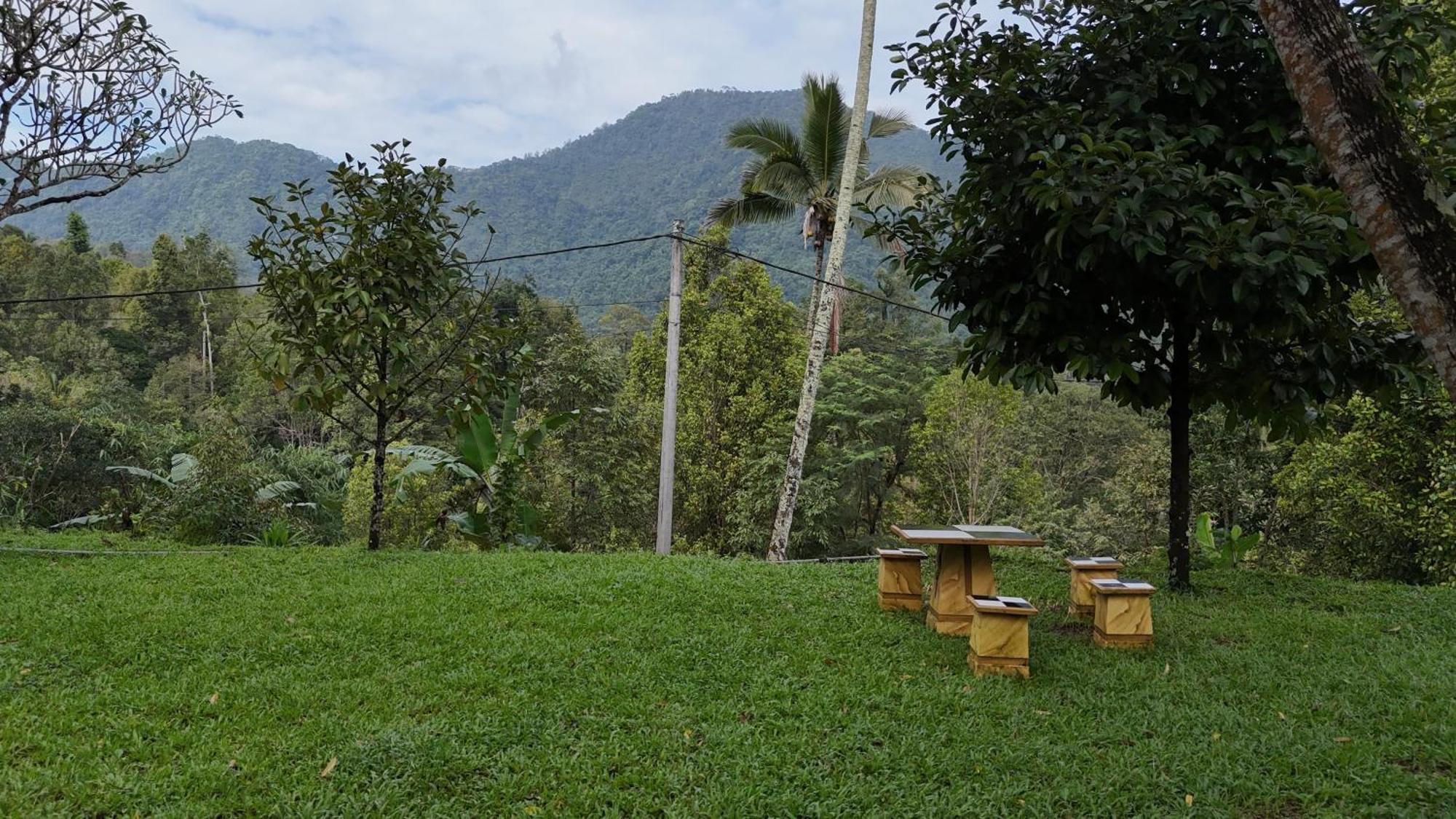 Jepun Homestay Lemukih Singaraja エクステリア 写真