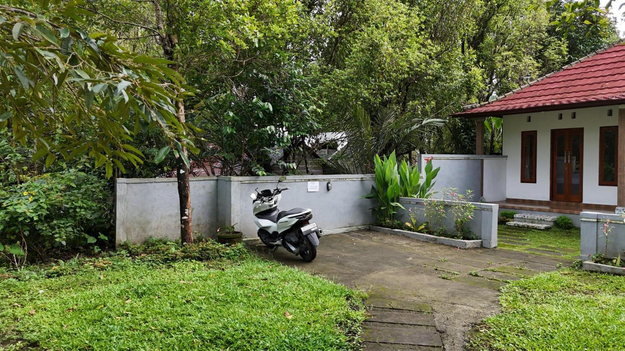 Jepun Homestay Lemukih Singaraja エクステリア 写真